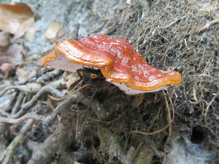 May 03 2012 02.jpg