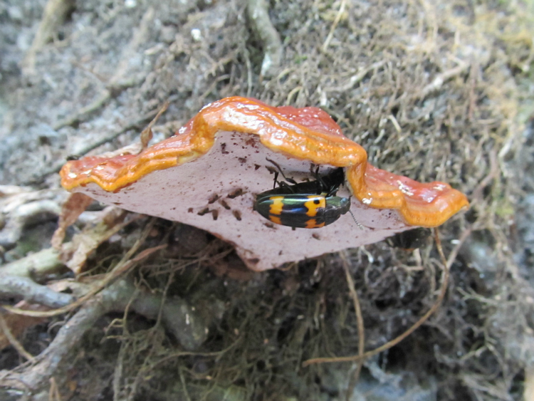 May 03 2012 03.jpg