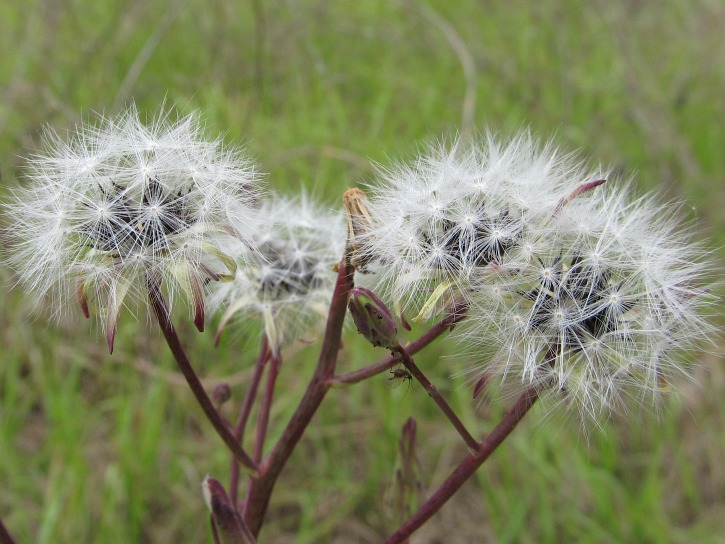 May 04 2012 03.jpg