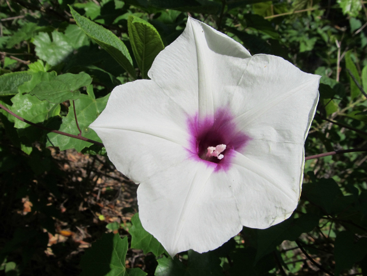 May 09 2012 002.jpg