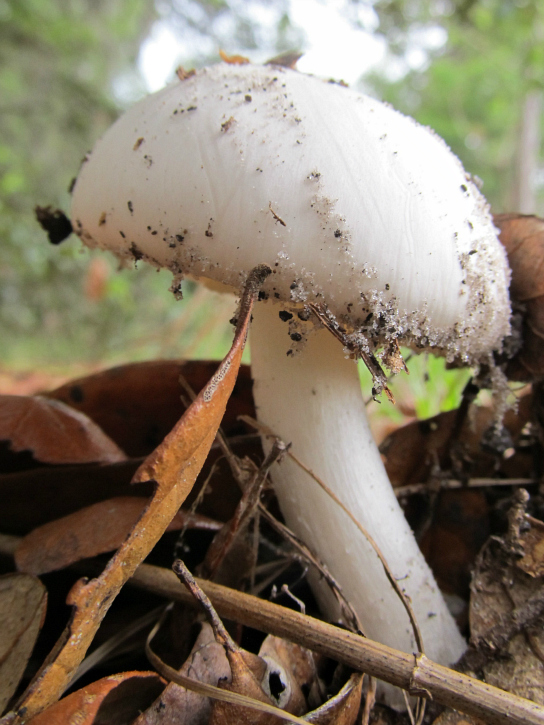 May 04 2012 09.jpg