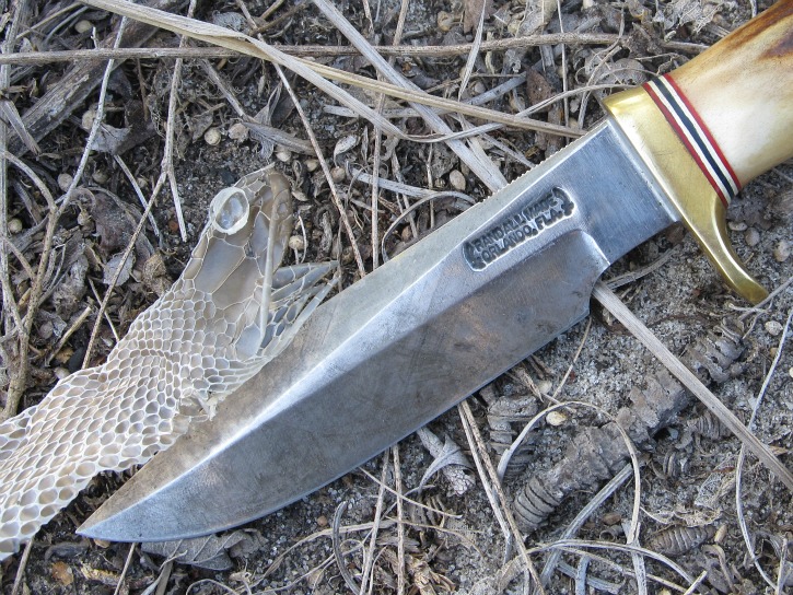 snakeskin 01.jpg