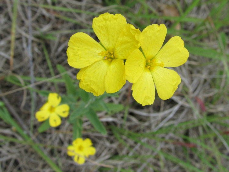 May 07 2012 08.jpg