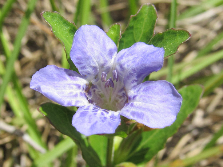 Apr 26 2012 20.jpg
