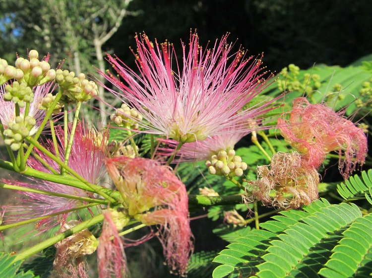 May 08 2012 06.jpg