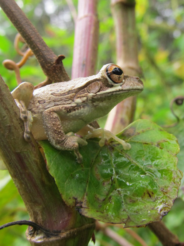 CTF Oct 08 2012 03.jpg