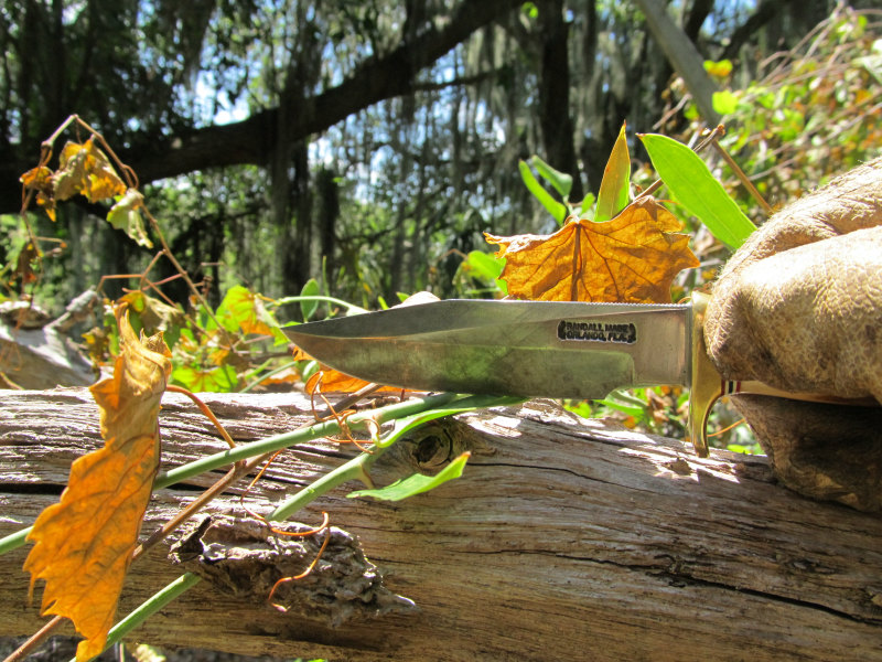 tree work 06.jpg