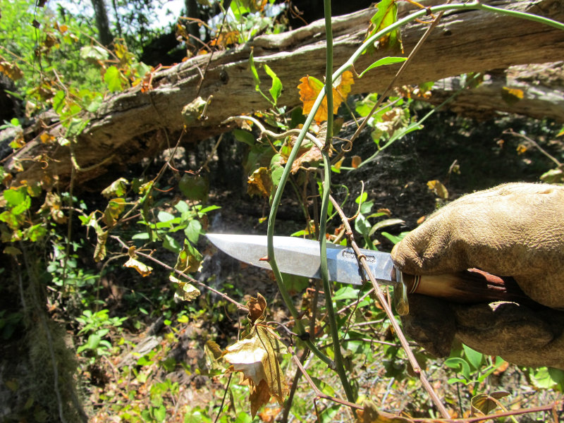 tree work 07.jpg