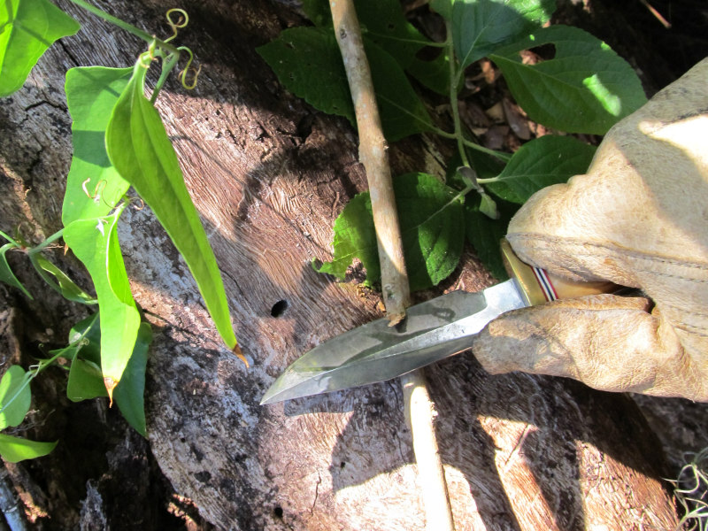 tree work 10.jpg