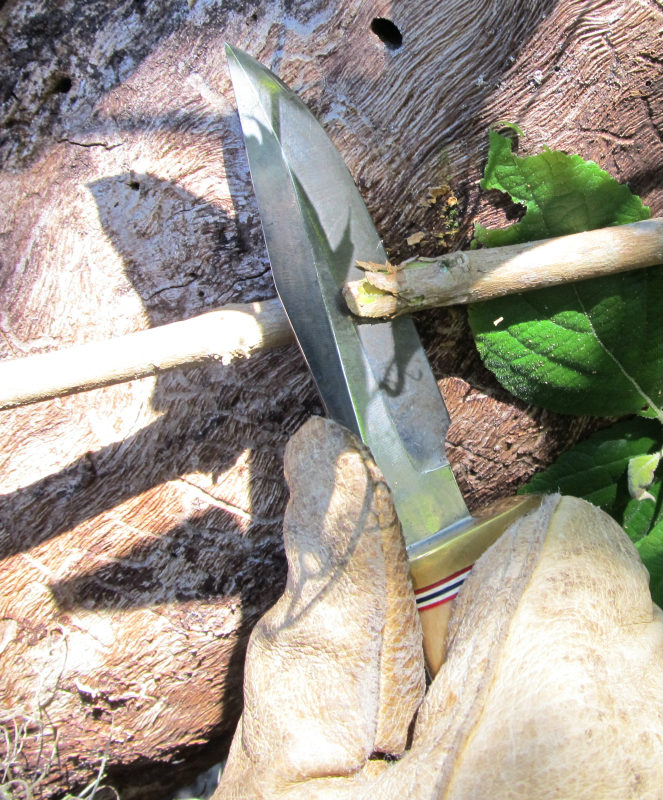tree work 11.jpg