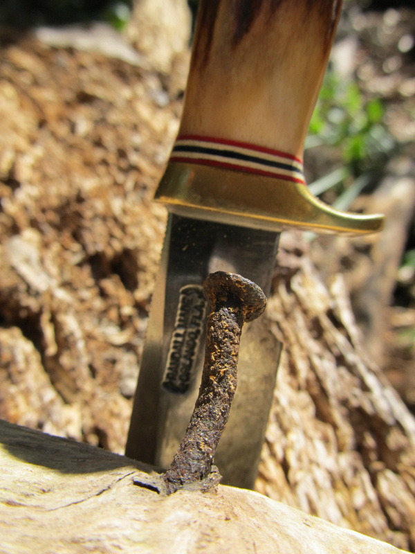 tree work 13.jpg