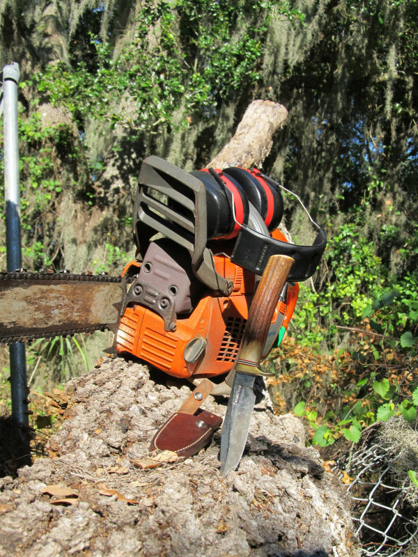tree work 14.jpg