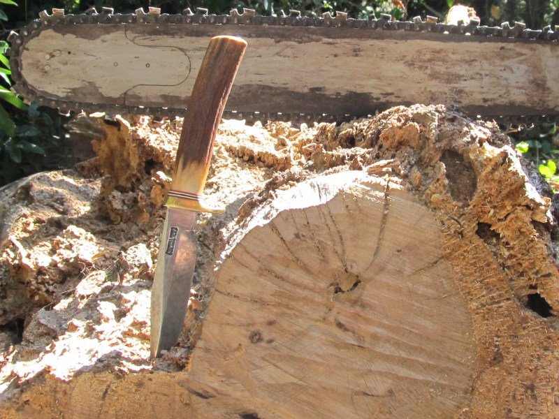 tree work 16.jpg