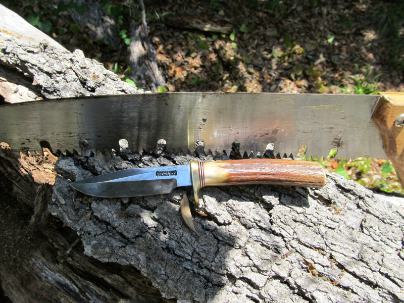 tree work 20.jpg