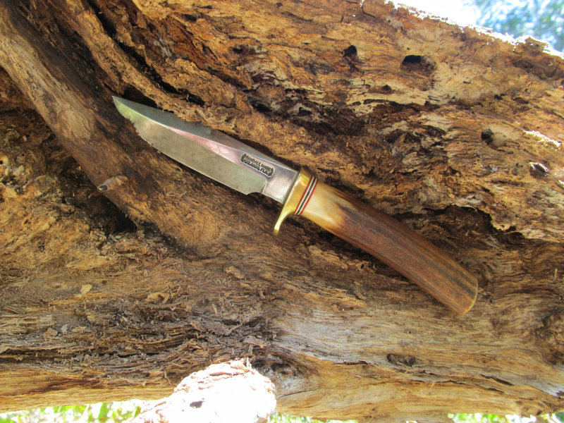 tree work 21.jpg