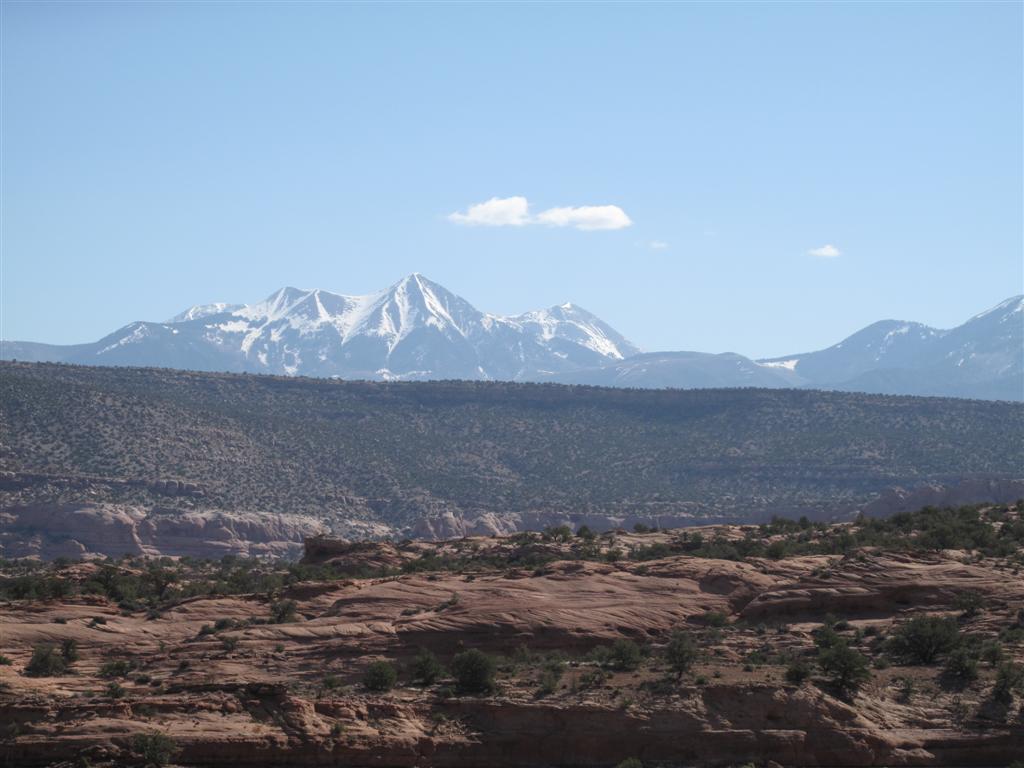 IMG_5981 (Large).JPG