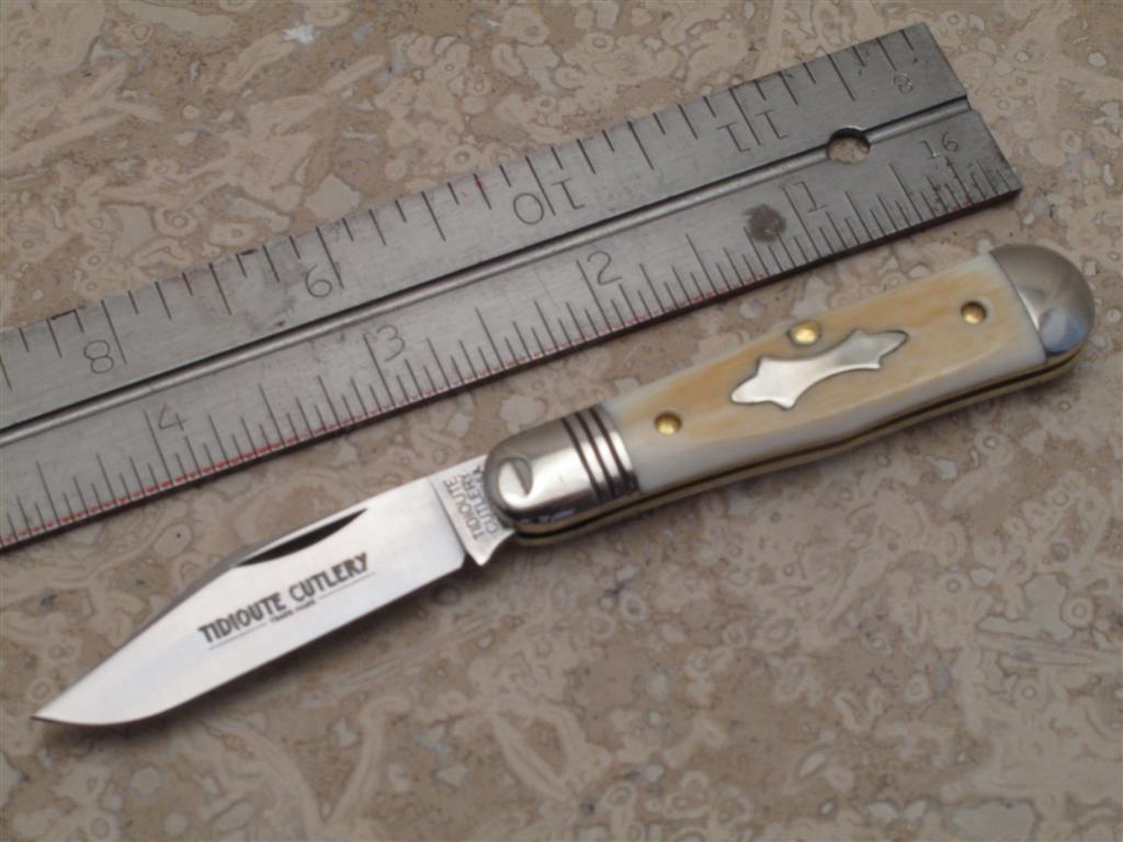 IMG_6565 (Large).JPG