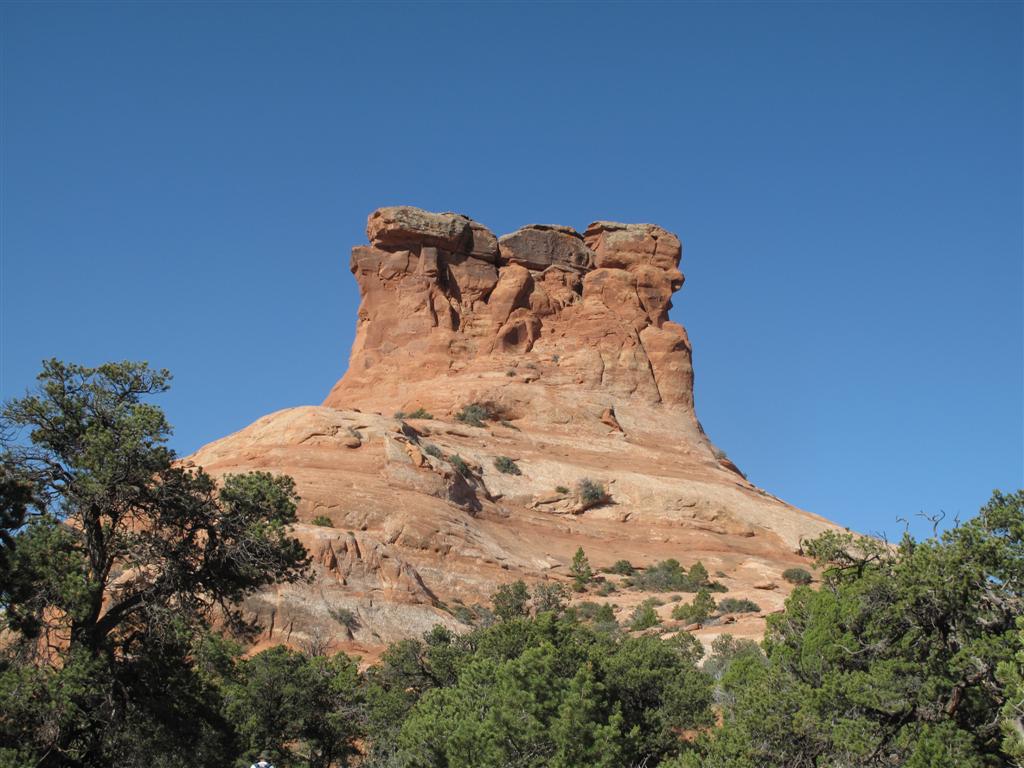 IMG_6591 (Large).JPG