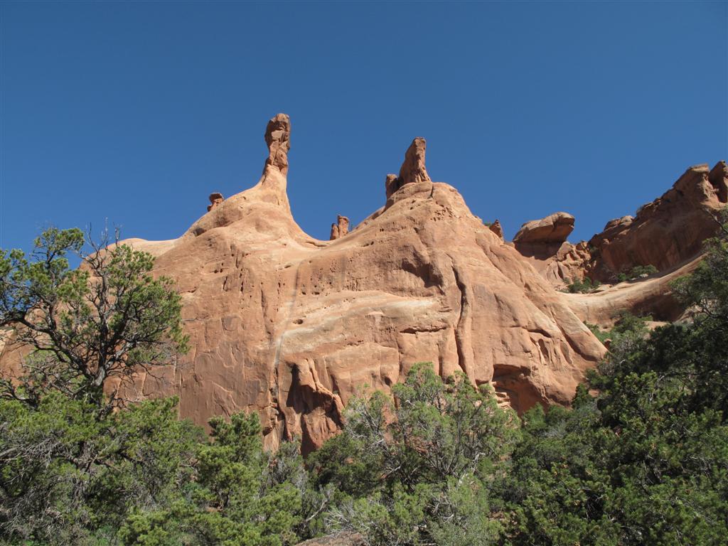 IMG_6606 (Large).JPG