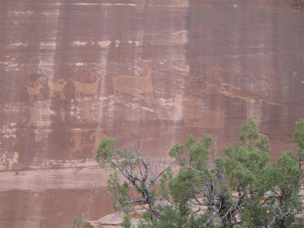 IMG_6872 (Large).JPG