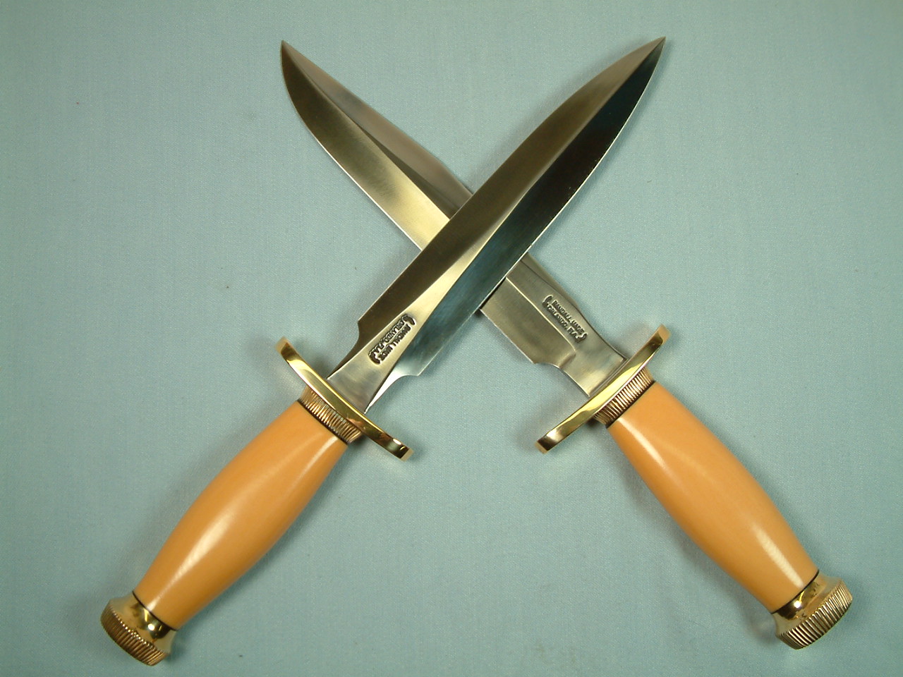fighterpair1.JPG