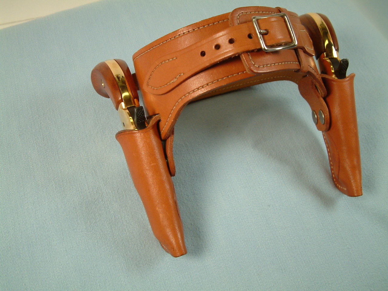 deringerrig1.JPG