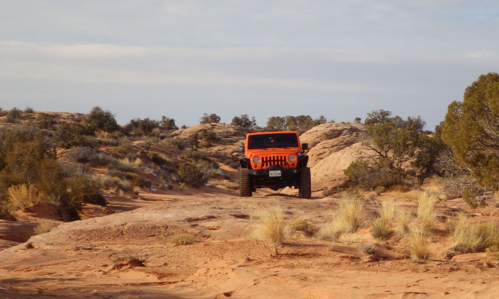 jeeps.jpg