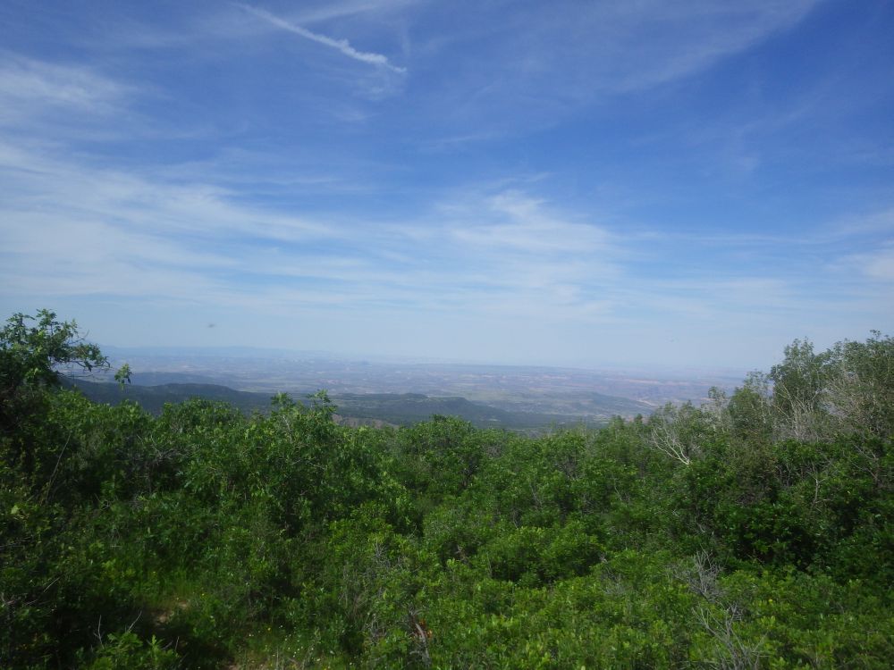 IMGP9807s.jpg