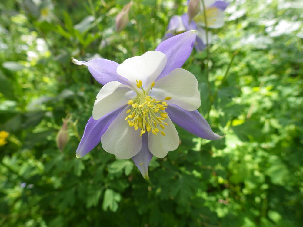 IMGP9844s.jpg