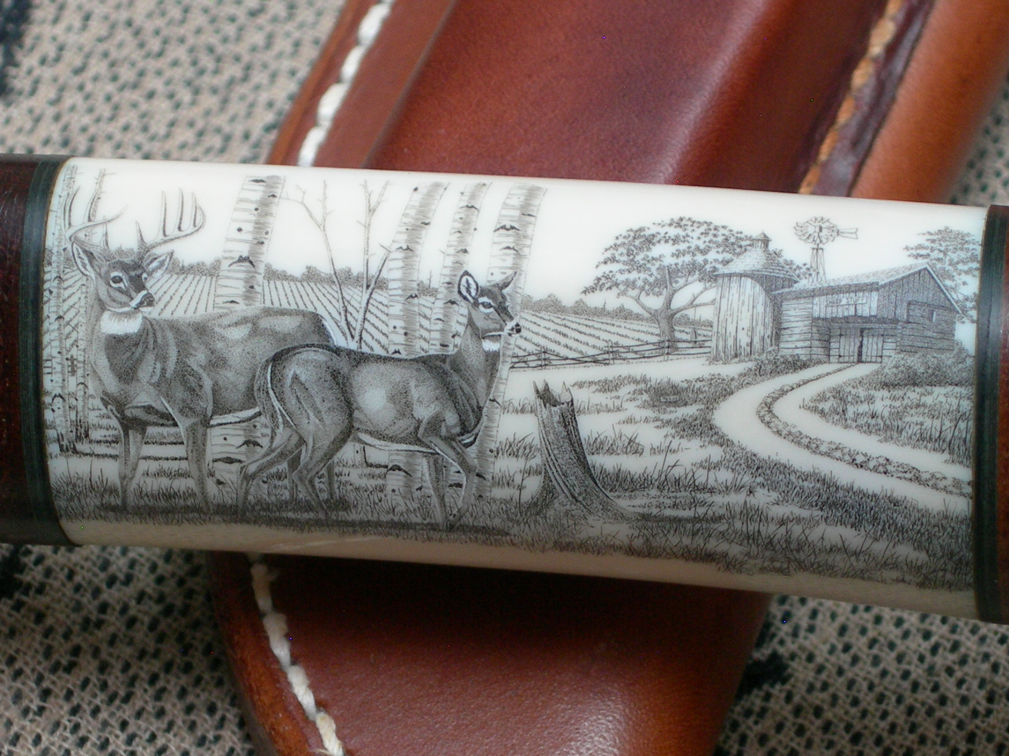 DSCN4235.JPG