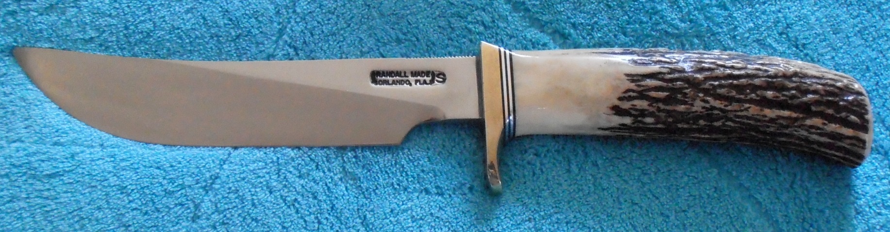 image.jpg