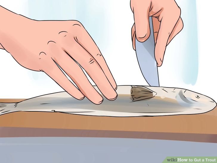 1 Cut Open Fish.jpg