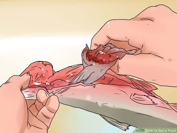 2 Remove Organs.jpg