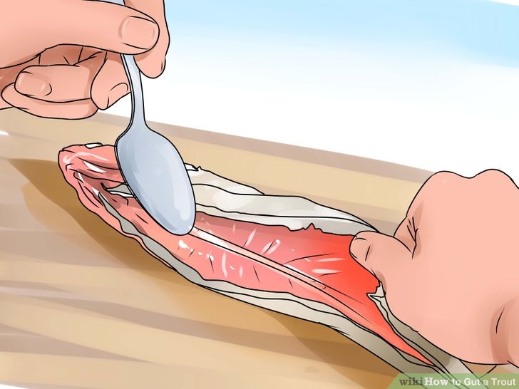 3 Remove Spine.jpg