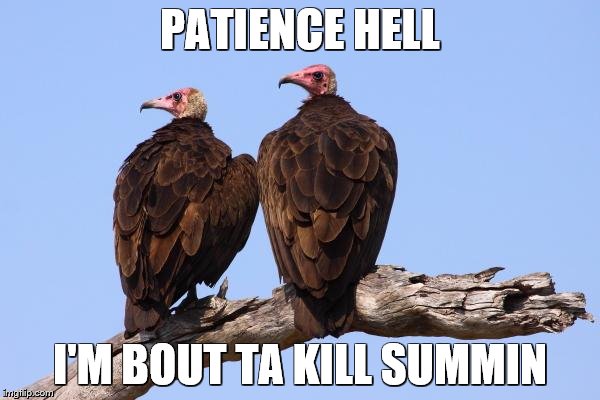 Patience.jpg
