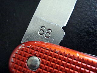 3565839.jpg