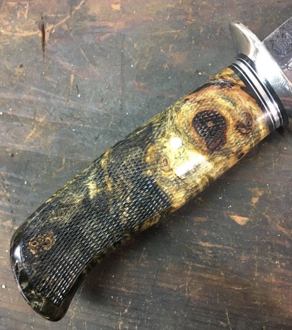 Checkered Buckeye 2.jpg