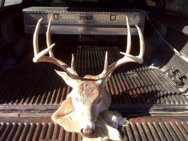KY 8 Pt.b.JPG
