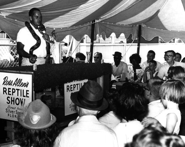 ross allen 64 worlds fair.jpg