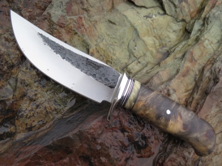 Buckeye Hunter.jpg