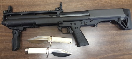 shotgun & 2 ivorys.jpg