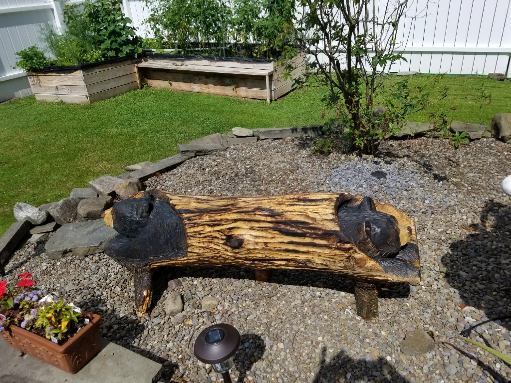 20170716_154611-1024x768.jpg