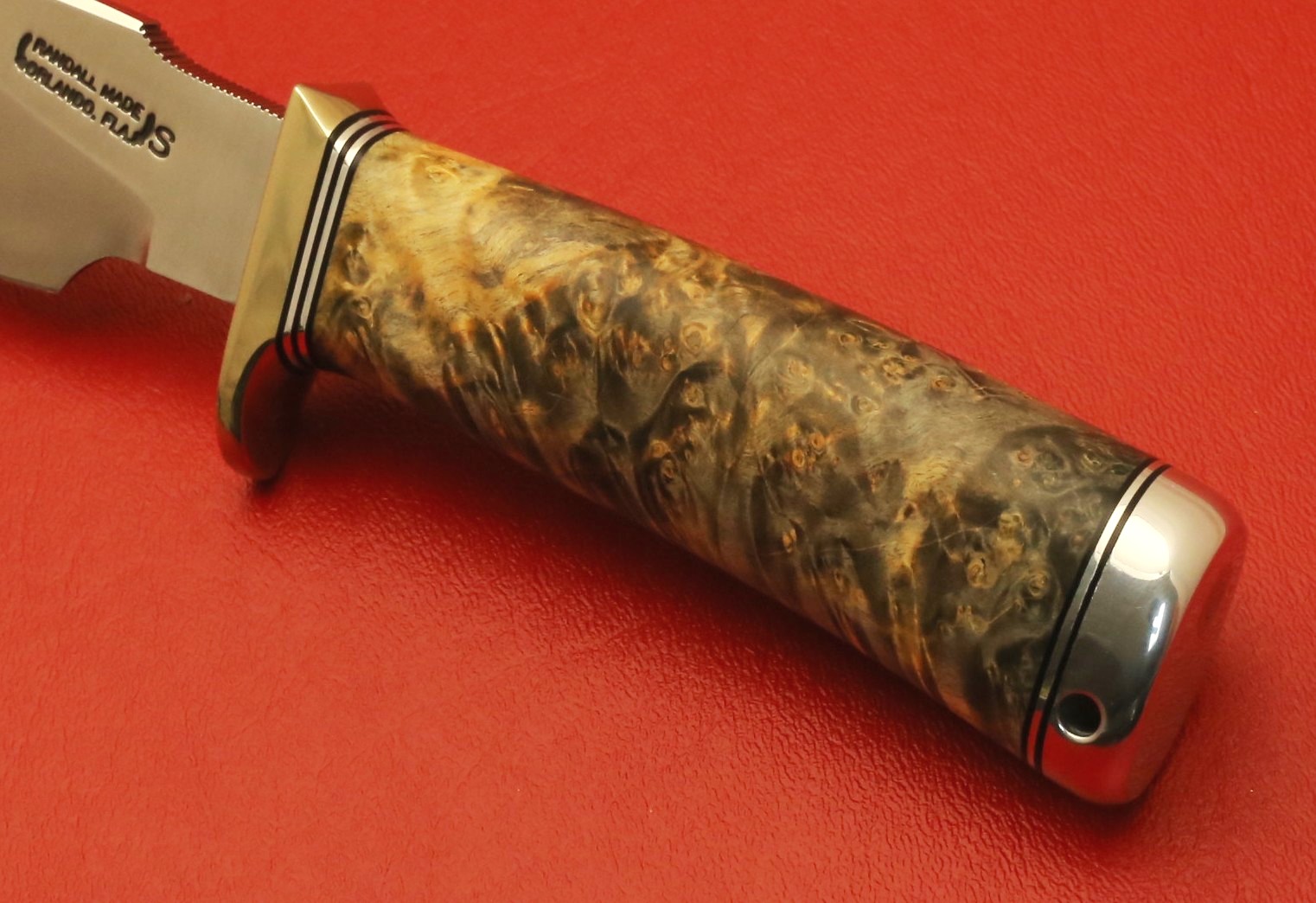 CAPT'S STASH-#11-Buckeye-C.JPG