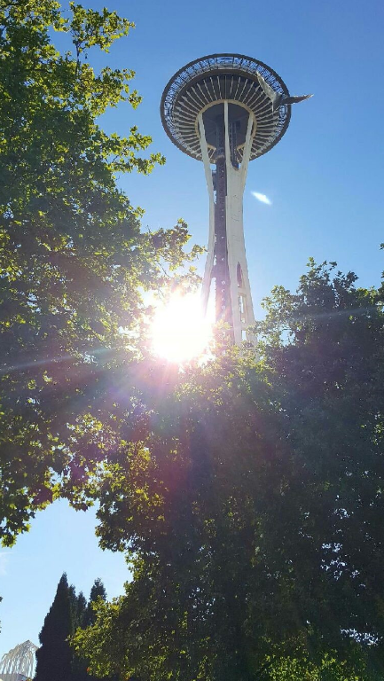 Needle.jpg