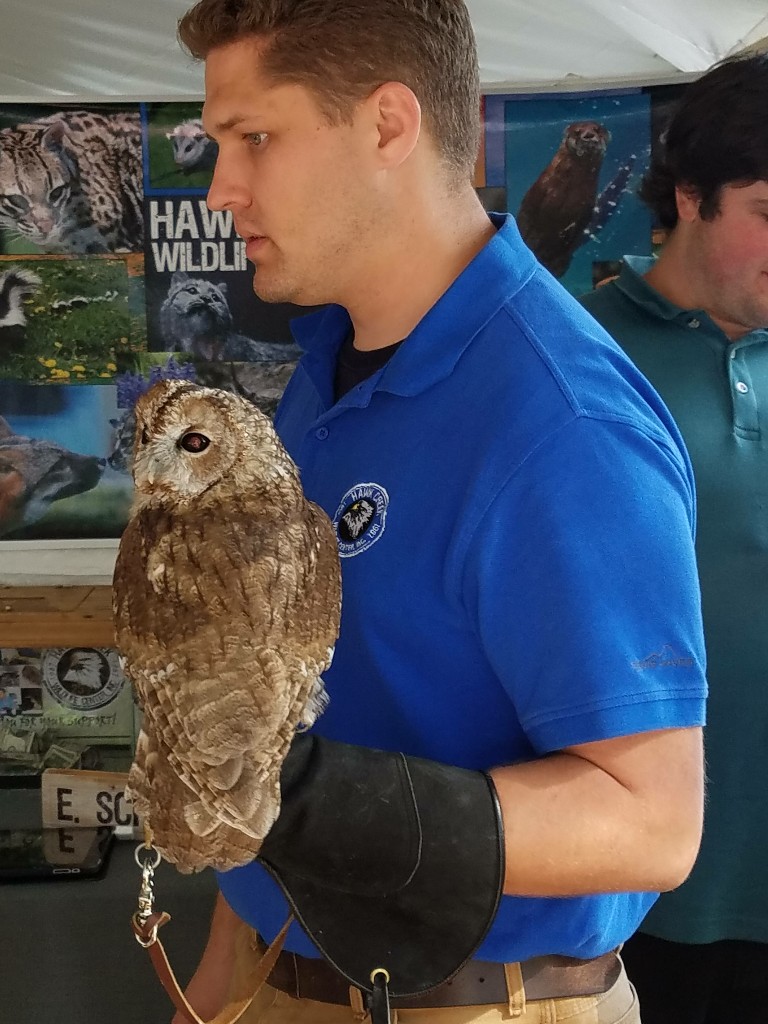 20170827_155706-768x1024.jpg