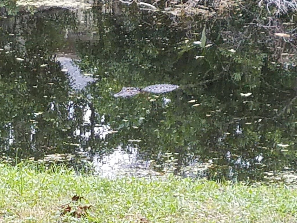 20170428_115707-1024x768.jpg