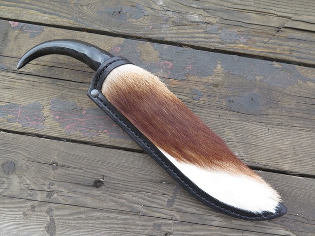 Springbok 1.jpg