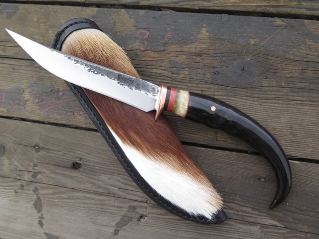 Springbok 2.jpg