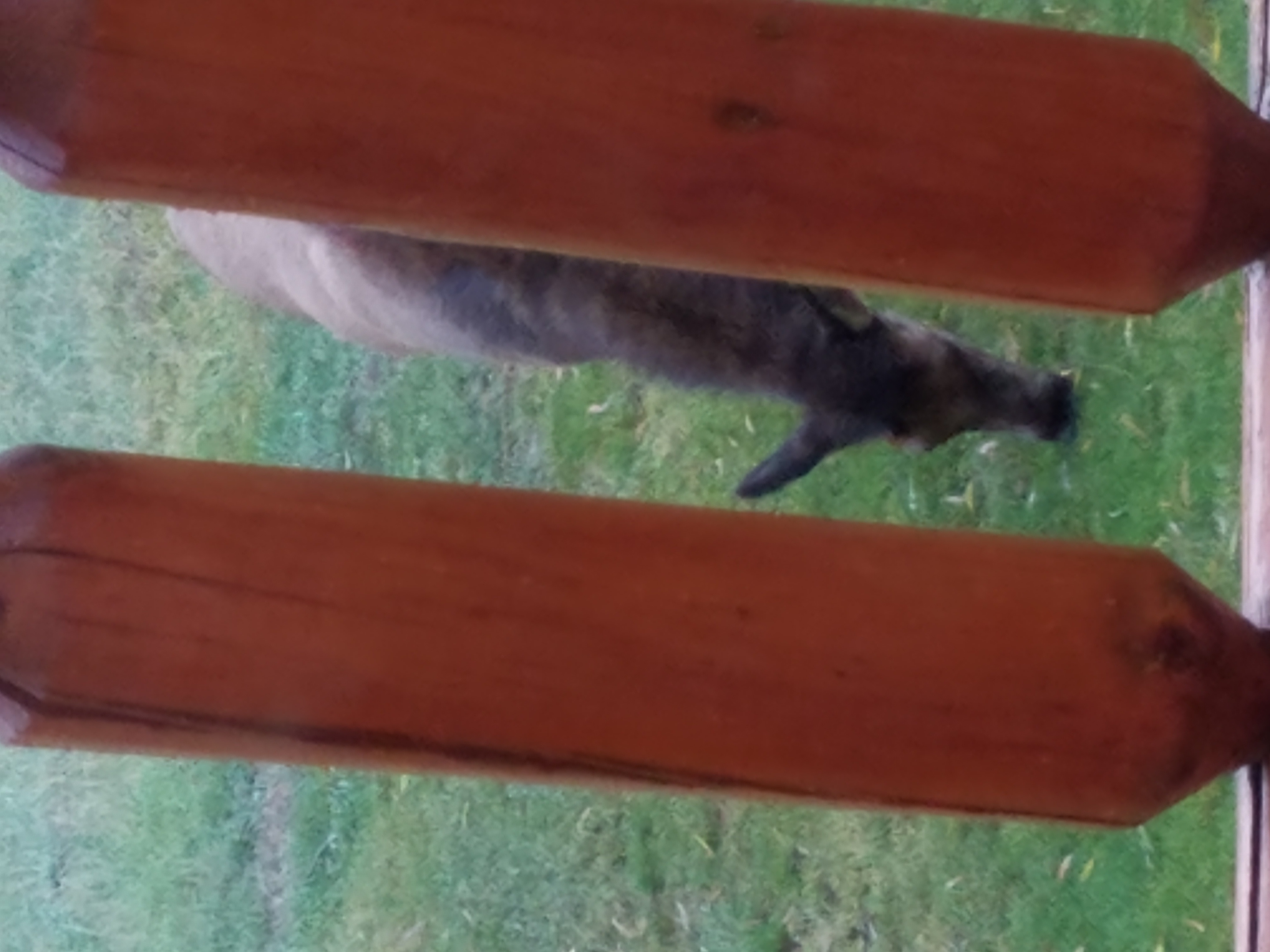 20171022_180756.jpg