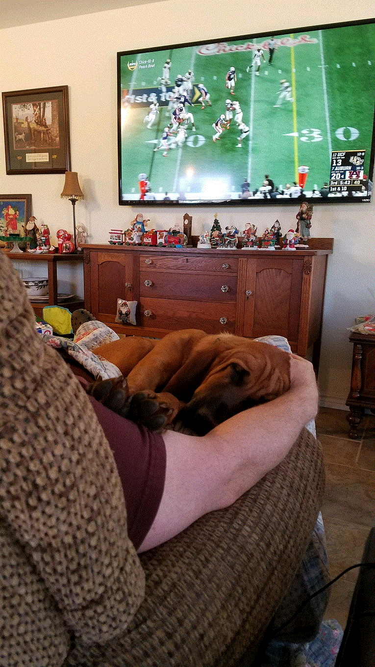 Watching the Peach Bowl 1-1-18.gif